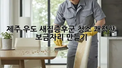 🏡 제주 우도 새집증후군 청소, 쾌적한 보금자리 만들기 ✨